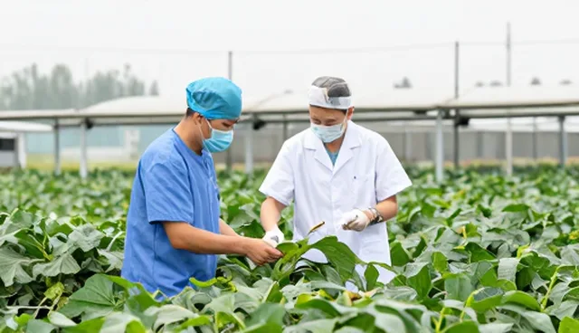 医疗设备维护中的常见问题及应对策略